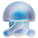 Kandji